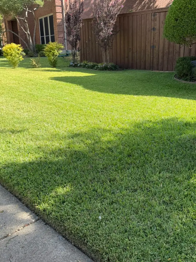 Lawn