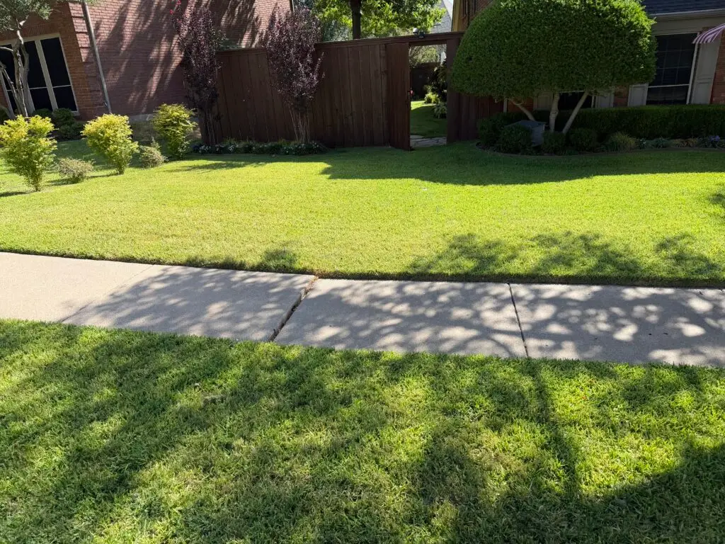 Freshly Cut Grass