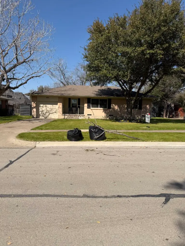 Leaf Cleanup